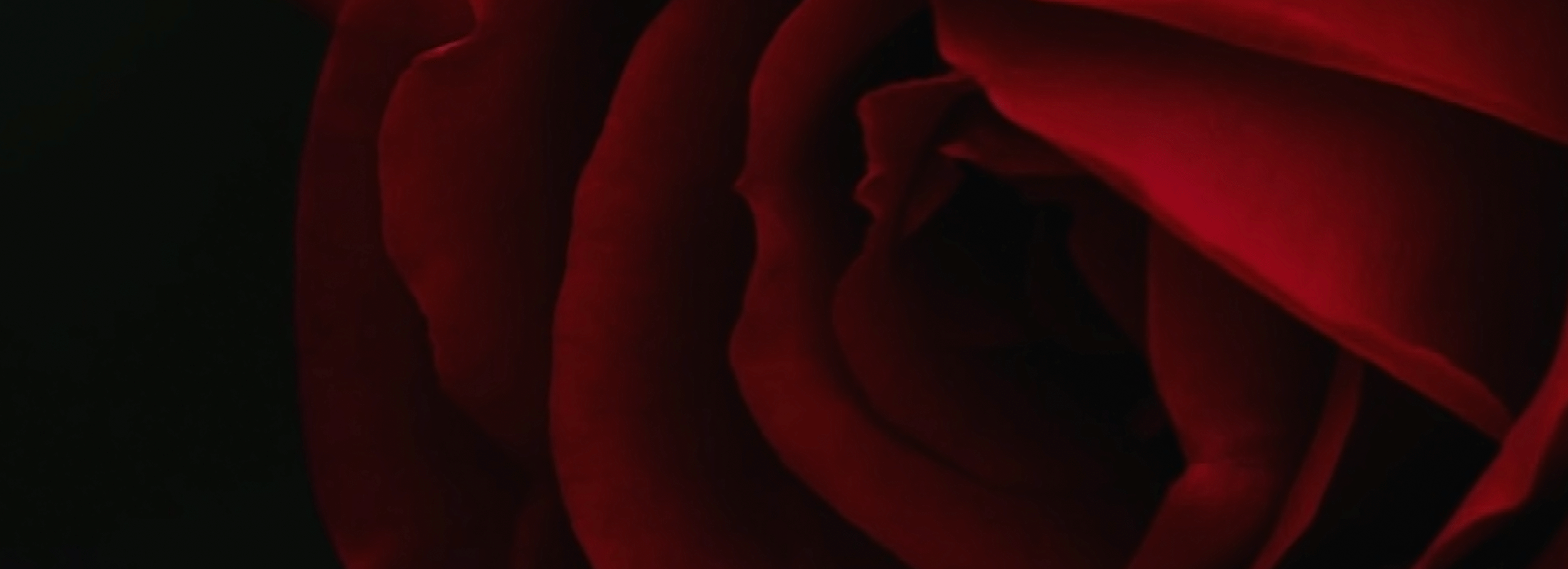 Spanish_FooterBanner